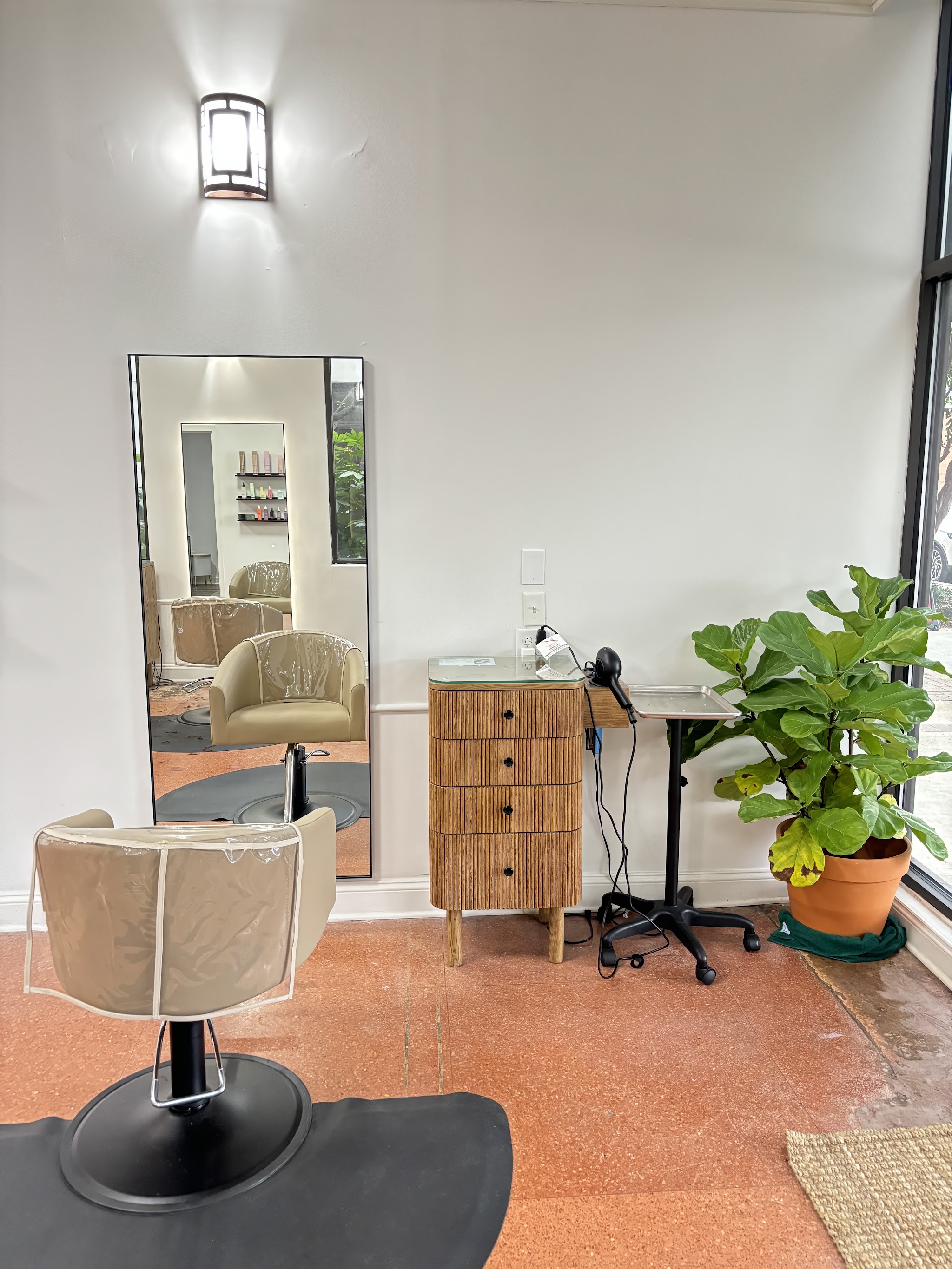 A styling station with a mirror and a leafy plant